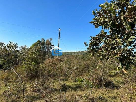 chacara-venda-itatiaiucu-4000-m&sup2;-745913
