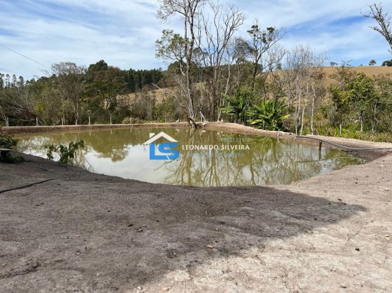 sitio-venda-crucilandia-10-000-m&sup2;-1074178
