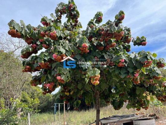 sitio-venda-crucilandia-10-000-m&sup2;-1074179