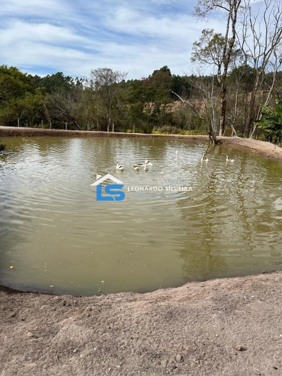sitio-venda-crucilandia-10-000-m&sup2;-1074190