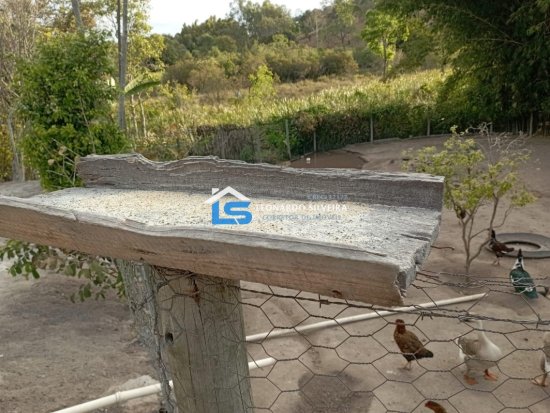 sitio-venda-crucilandia-10-000-m&sup2;-1074181