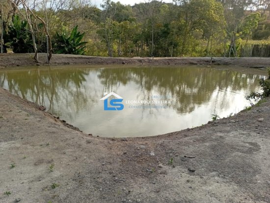 sitio-venda-crucilandia-10-000-m&sup2;-1074182