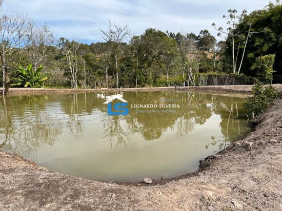 sitio-venda-crucilandia-10-000-m&sup2;-1074187