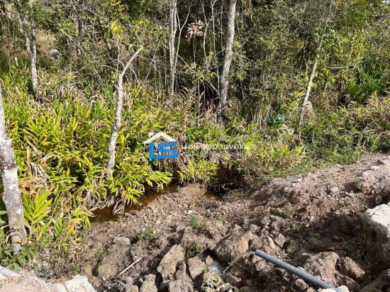 sitio-venda-crucilandia-10-000-m&sup2;-1074188