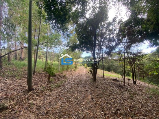 sitio-venda-crucilandia-10-000-m&sup2;-1074226