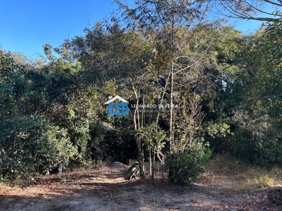 chacara-venda-itatiaiucu-2500-m&sup2;-884825