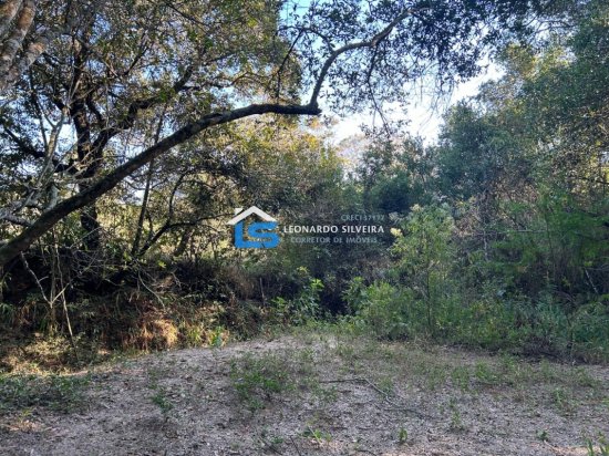 chacara-venda-itatiaiucu-2500-m&sup2;-884826