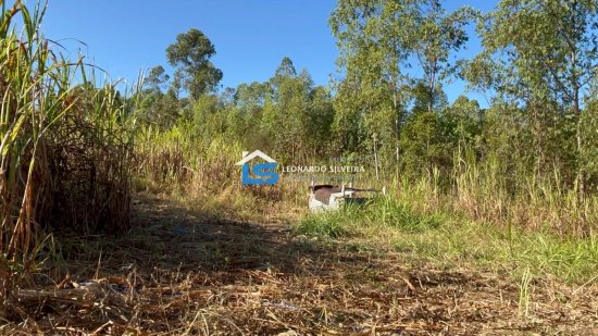 chacara-venda-itatiaiucu-2500-m&sup2;-884830