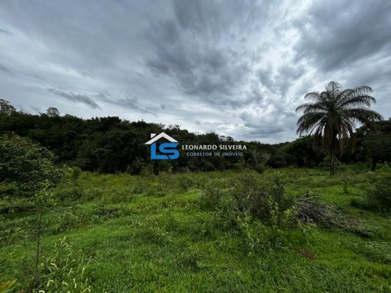 chacara-venda-itatiaiucu-5-000-m&sup2;-1074734