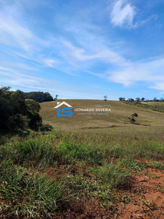 fazenda-venda-rio-manso-918356
