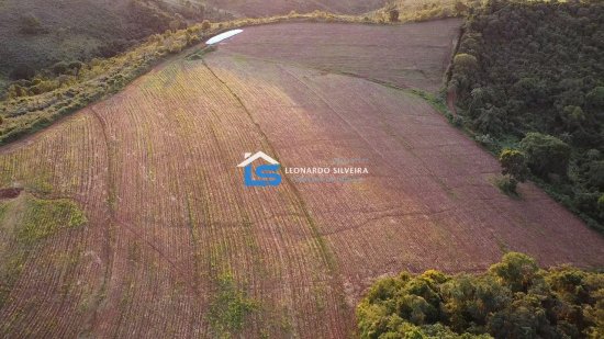 fazenda-venda-rio-manso-918357
