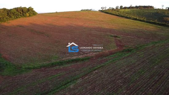 fazenda-venda-rio-manso-918358