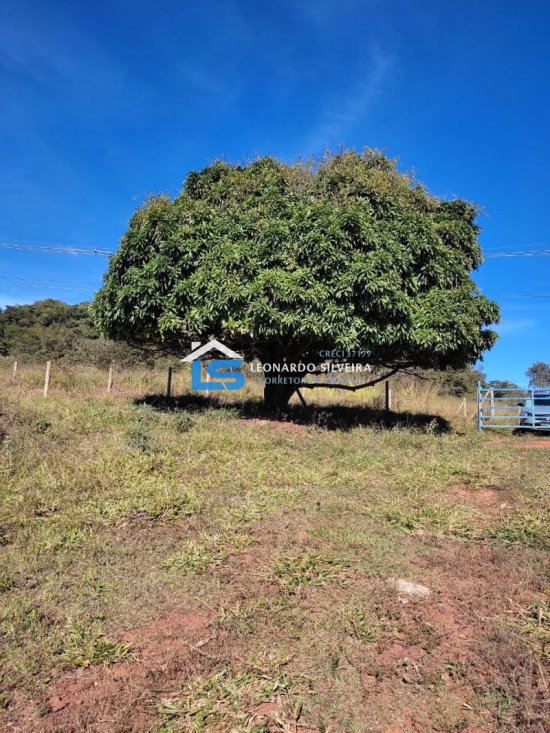 fazenda-venda-rio-manso-918362