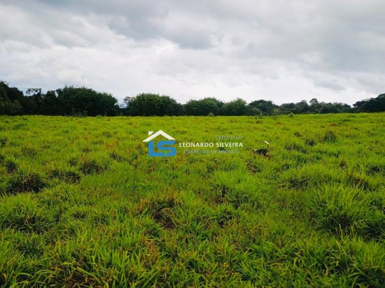 fazenda-venda-oliveira-mg-970095