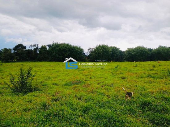 fazenda-venda-oliveira-mg-970098
