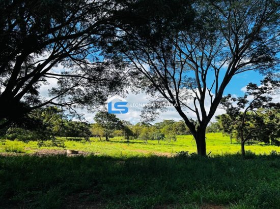 chacara-venda-florestal-5000-m&sup2;-1084119