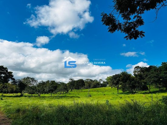 chacara-venda-florestal-5000-m&sup2;-1084121