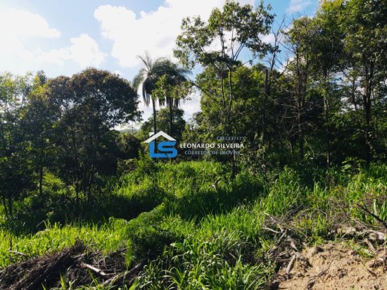 chacara-venda-florestal-5000-m&sup2;-1084122