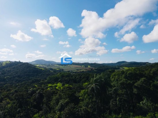 chacara-venda-florestal-5000-m&sup2;-1084123