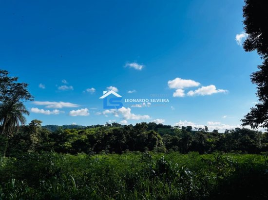 chacara-venda-florestal-5000-m&sup2;-1084124