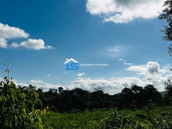 chacara-venda-florestal-5000-m&sup2;-1084125