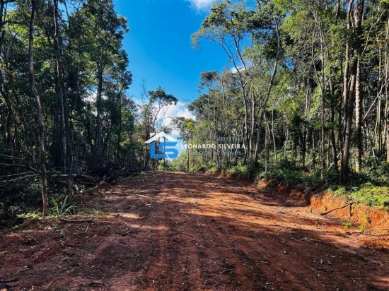 chacara-venda-florestal-5000-m&sup2;-1084126