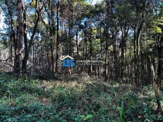 chacara-venda-florestal-5000-m&sup2;-1084127