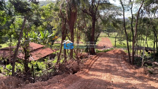 chacara-venda-florestal-5000-m&sup2;-1084128