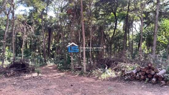 chacara-venda-florestal-5000-m&sup2;-1084129