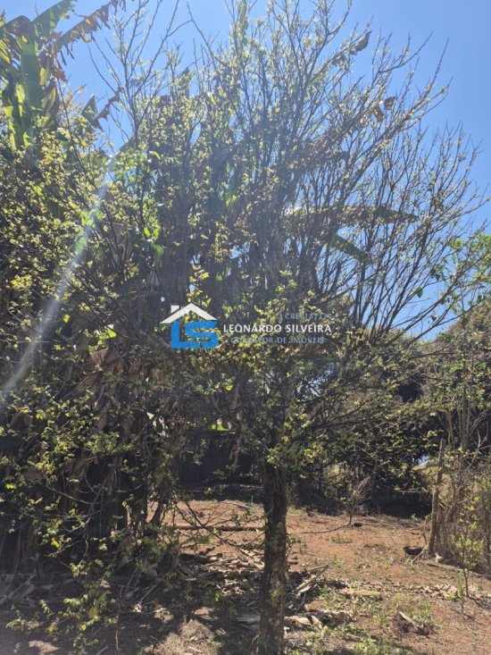 sitio-venda-rio-manso-5-000-m&sup2;-1051138