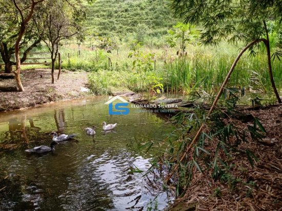 fazenda-venda-itatiaiucu-12-hectares-768608