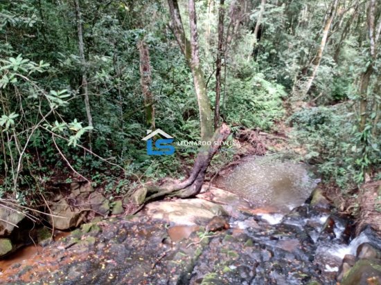 fazenda-venda-itatiaiucu-12-hectares-768618