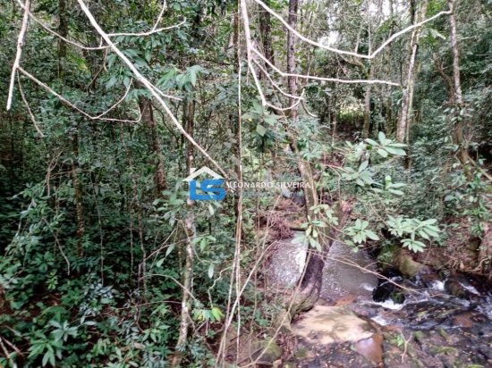 fazenda-venda-itatiaiucu-12-hectares-768619