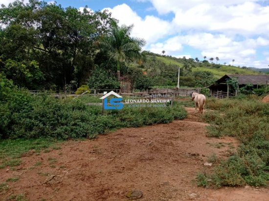 fazenda-venda-itatiaiucu-12-hectares-768620