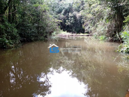 fazenda-venda-itatiaiucu-12-hectares-768611