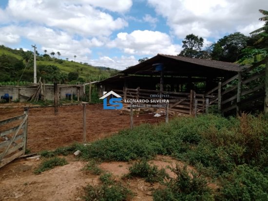 fazenda-venda-itatiaiucu-12-hectares-768615
