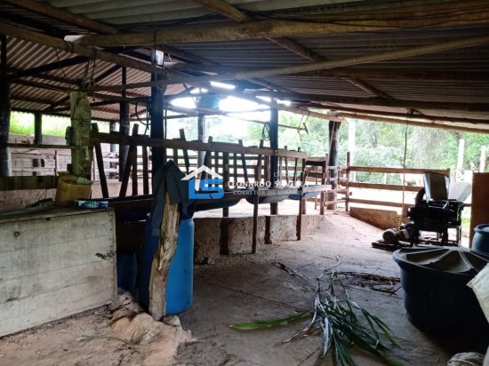 fazenda-venda-itatiaiucu-12-hectares-768616