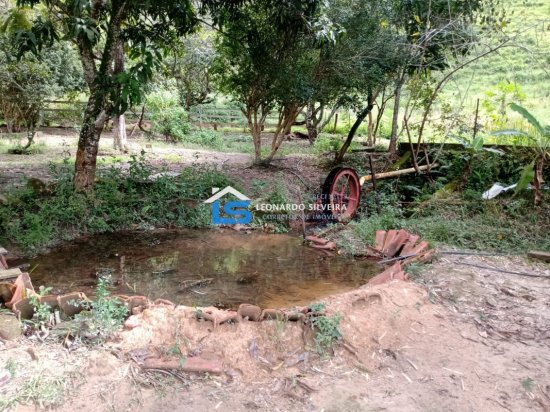 fazenda-venda-itatiaiucu-12-hectares-768617