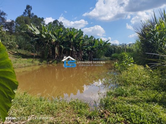 fazenda-venda-itatiaiucu-21-hectares-805262