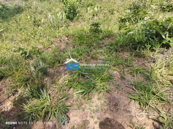 fazenda-venda-itatiaiucu-21-hectares-805272