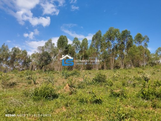 fazenda-venda-itatiaiucu-21-hectares-805273