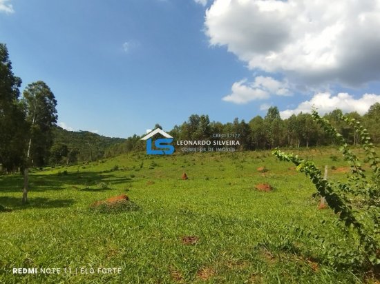 fazenda-venda-itatiaiucu-21-hectares-805274