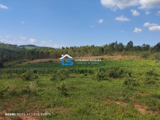 fazenda-venda-itatiaiucu-21-hectares-805275