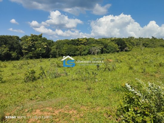fazenda-venda-itatiaiucu-21-hectares-805276