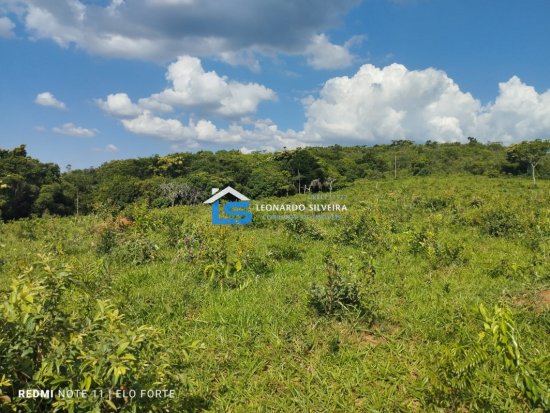 fazenda-venda-itatiaiucu-21-hectares-805277