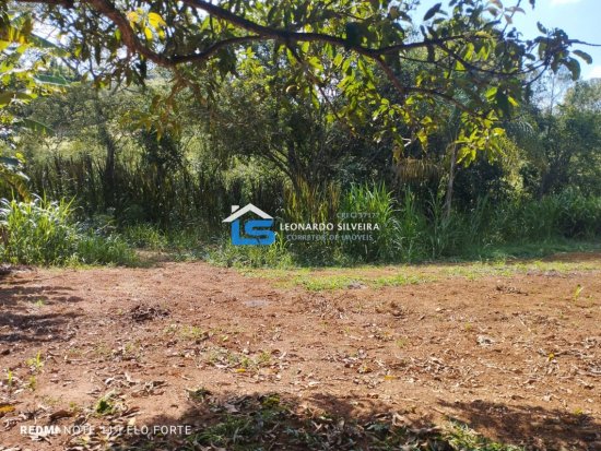 fazenda-venda-itatiaiucu-21-hectares-805280