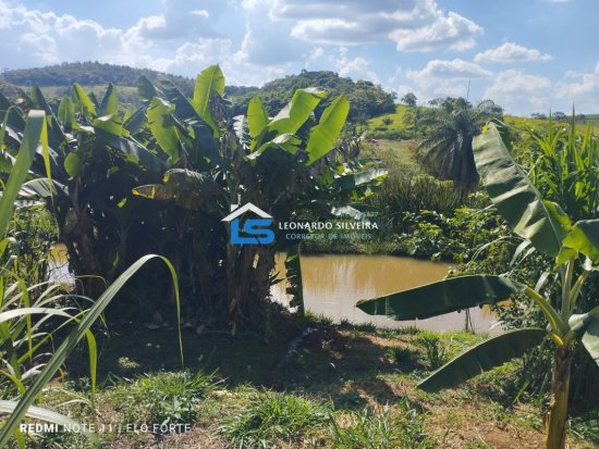 fazenda-venda-itatiaiucu-21-hectares-805264
