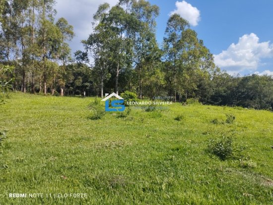 fazenda-venda-itatiaiucu-21-hectares-805265