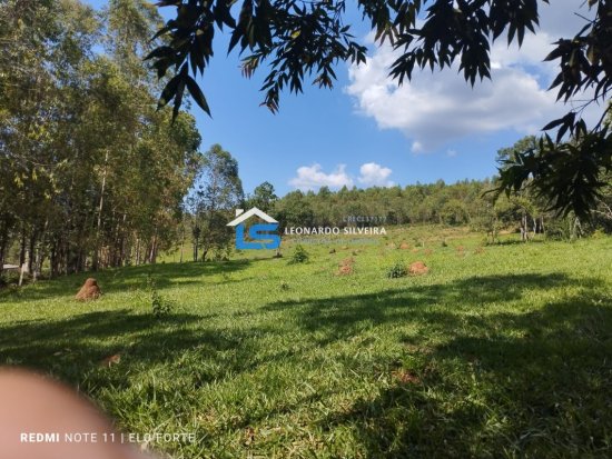 fazenda-venda-itatiaiucu-21-hectares-805266