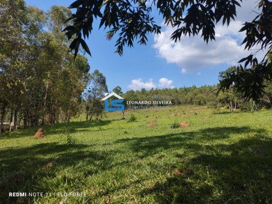 fazenda-venda-itatiaiucu-21-hectares-805267